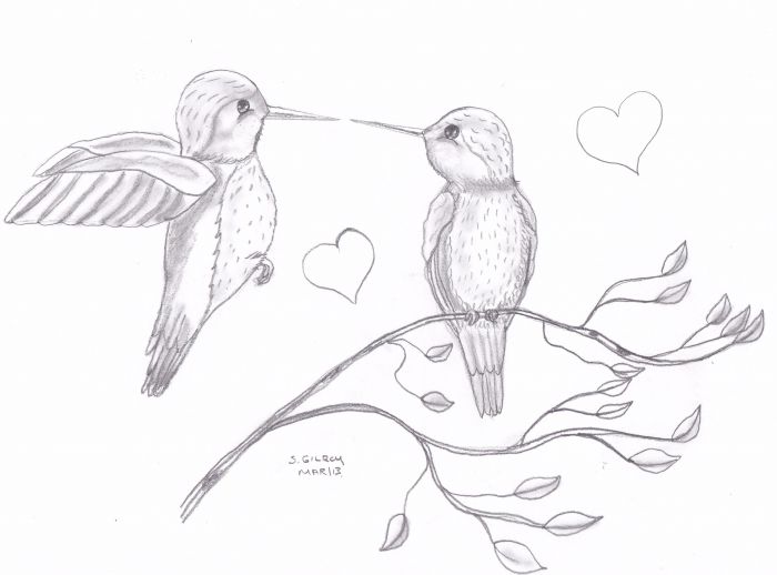 Hummingbirds in love by Sally Gilroy
